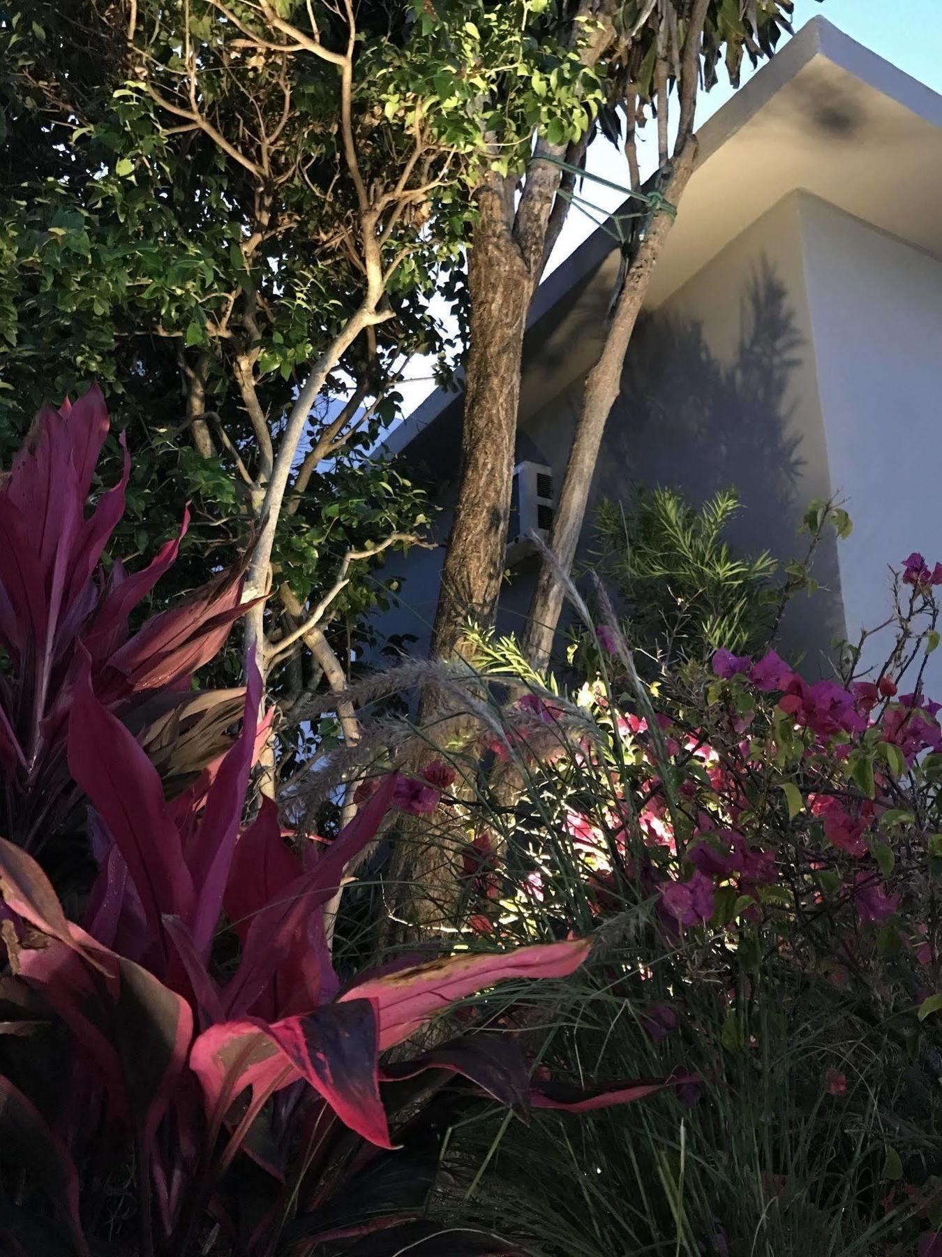 Luxury Miami Beach Apartments By Michigan Exterior foto